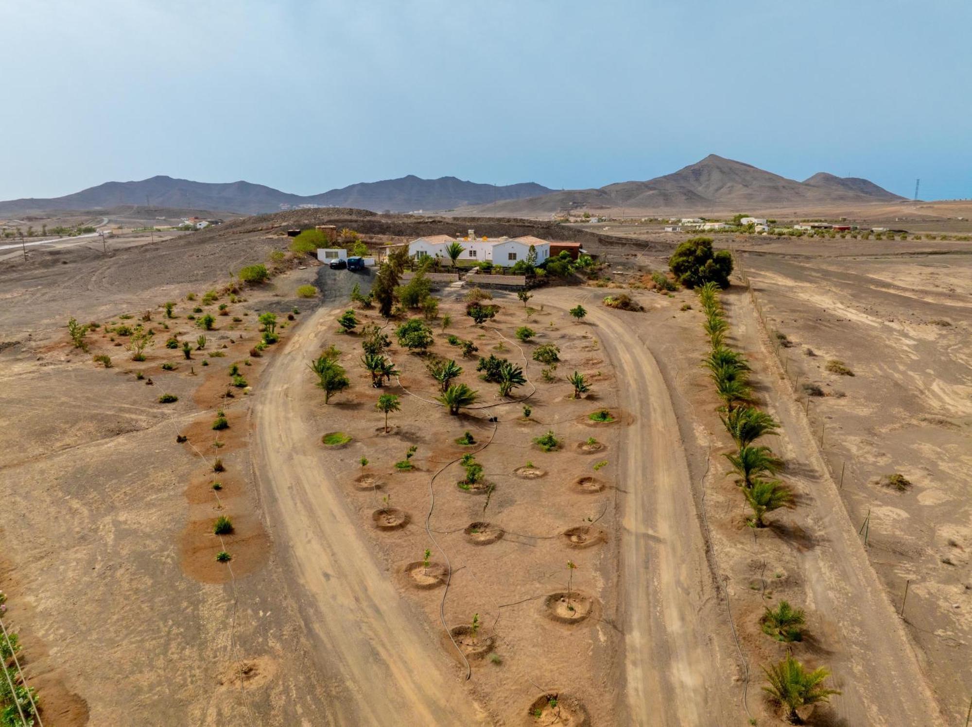 Casa Amaya - Spacious House With Pool, Large Garden, Bbq, 2 Terraces, And Ideal Location Эль-Чарко Экстерьер фото